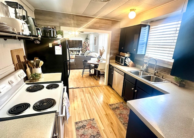 kitchen with appliances with stainless steel finishes, light hardwood / wood-style flooring, and sink