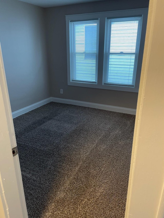 unfurnished room with carpet and a wealth of natural light