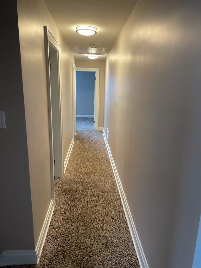 hallway featuring carpet floors