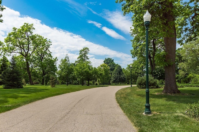 view of property's community with a yard