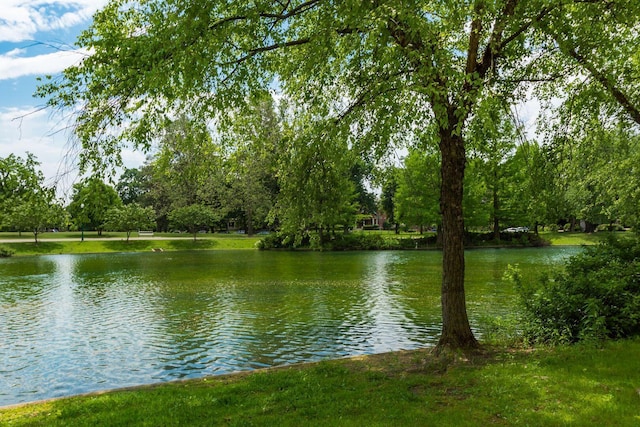 property view of water
