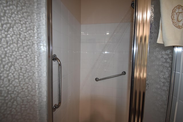 bathroom featuring a shower with shower door