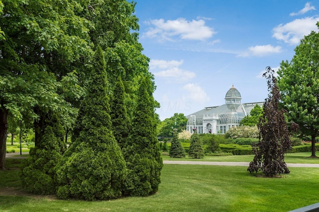 view of community with a lawn