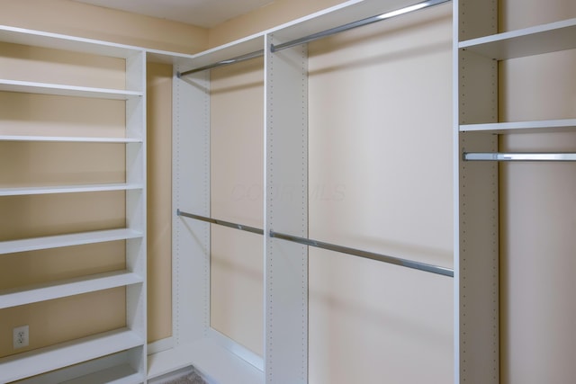 view of spacious closet