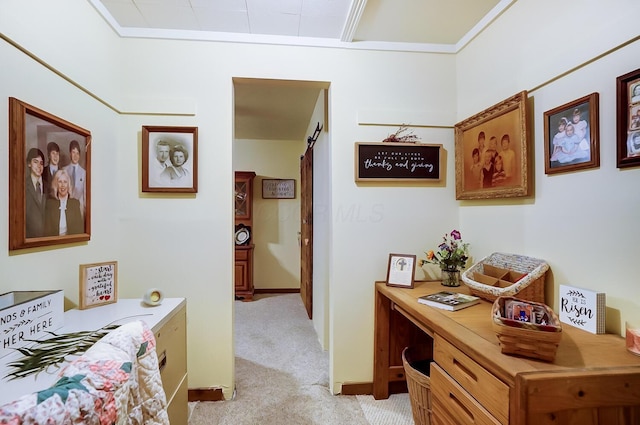 carpeted bedroom with a barn door