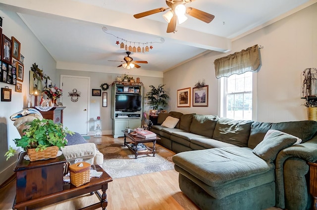 living room with ceiling fan, beam ceiling, and light hardwood / wood-style flooring