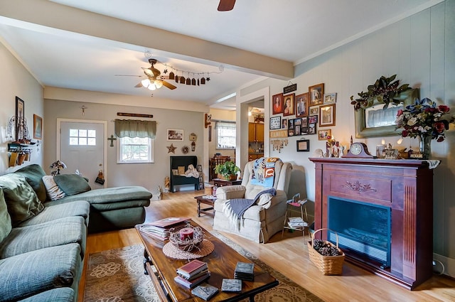 living room featuring ceiling fan, beam ceiling, and light wood-type flooring