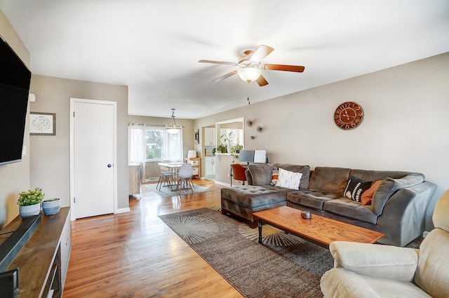 living room with hardwood / wood-style floors and ceiling fan