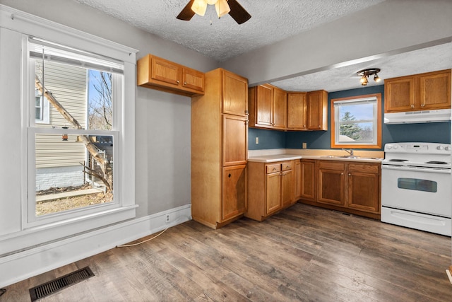 kitchen featuring dark wood-style flooring, white electric range oven, visible vents, a sink, and under cabinet range hood