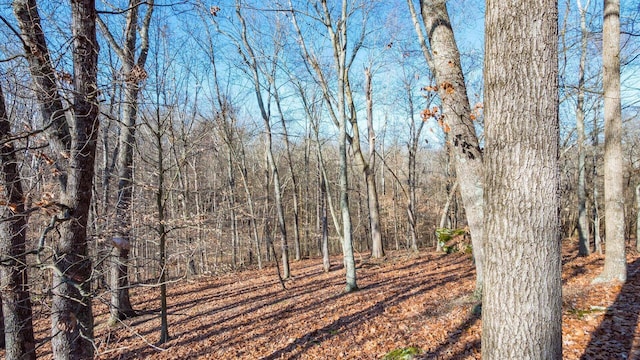 18988 Claypool Rd, Nashport, OH 43830 - photo 43