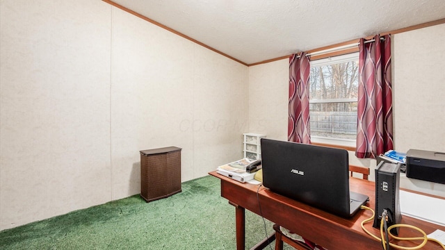 carpeted home office featuring a textured ceiling