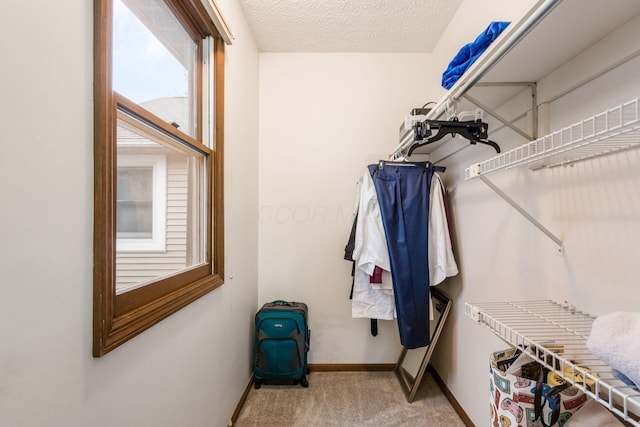 spacious closet featuring carpet