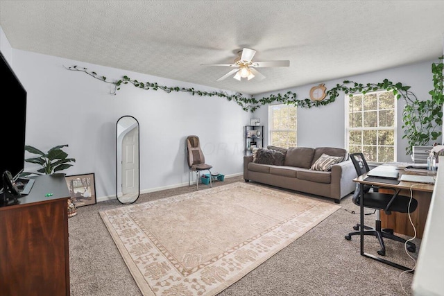 carpeted office with ceiling fan and a textured ceiling