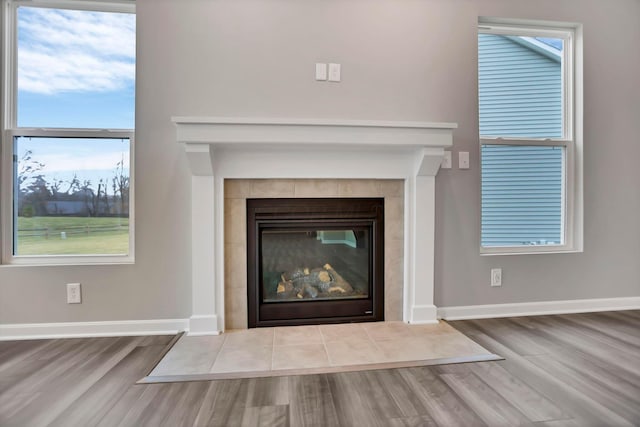 details featuring a fireplace and hardwood / wood-style floors