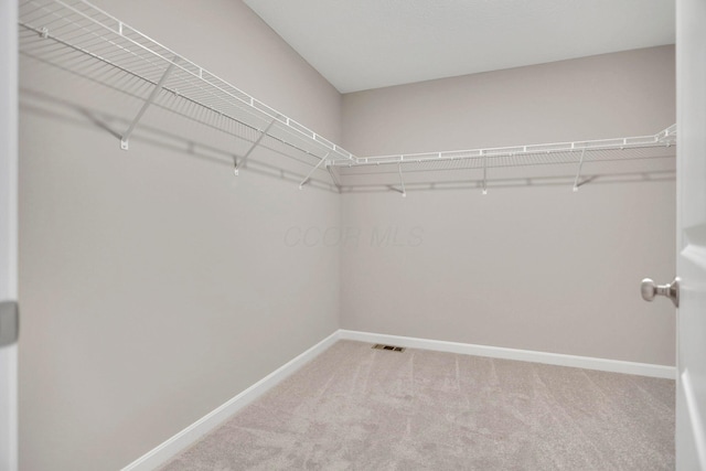 spacious closet featuring carpet