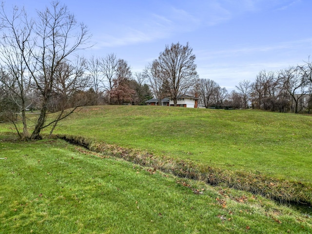 view of yard featuring a rural view