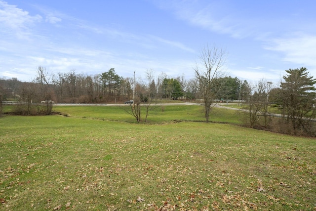 view of yard featuring a rural view