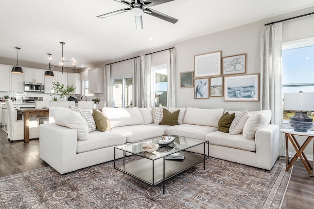 living room with dark hardwood / wood-style floors and ceiling fan with notable chandelier