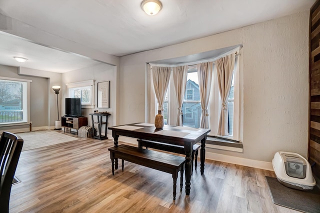 dining space with light hardwood / wood-style flooring and plenty of natural light