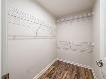 walk in closet featuring dark hardwood / wood-style flooring