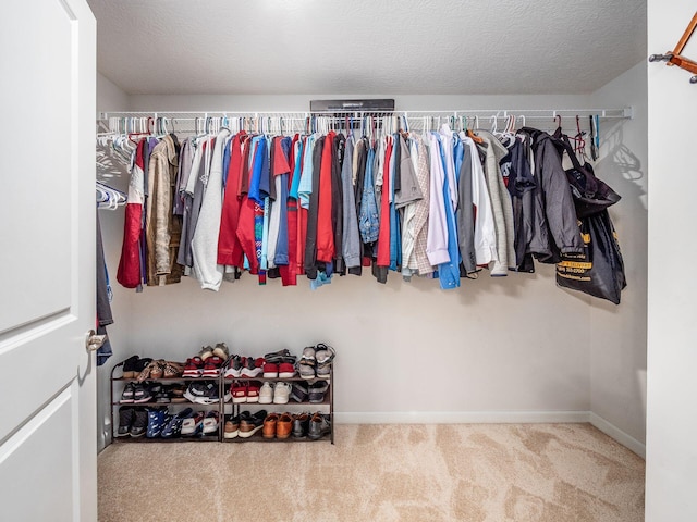 spacious closet featuring carpet flooring