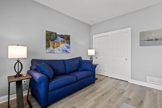 living room with wood-type flooring