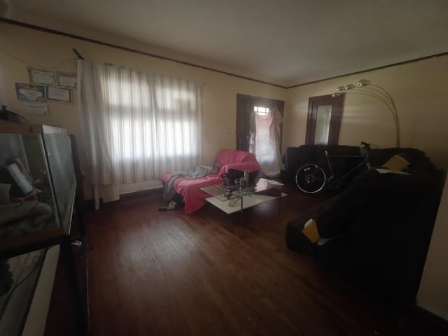 living room with dark hardwood / wood-style flooring