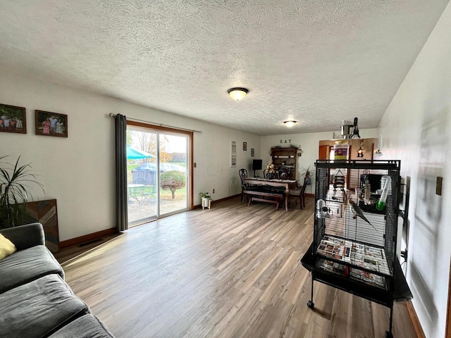 living room featuring hardwood / wood-style floors and a textured ceiling