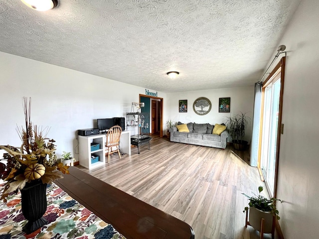 living room with hardwood / wood-style floors and a textured ceiling