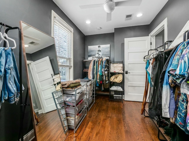 walk in closet featuring ceiling fan and dark hardwood / wood-style floors