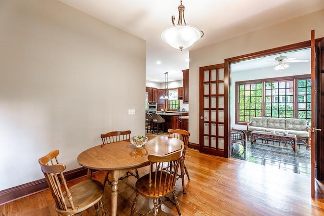 dining room with ceiling fan and light hardwood / wood-style floors