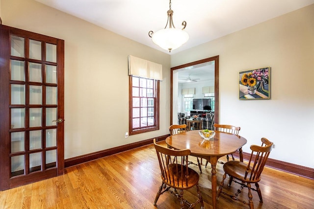 dining space with light wood-type flooring and ceiling fan