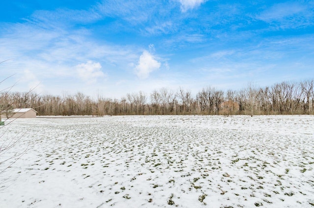 view of yard covered in snow