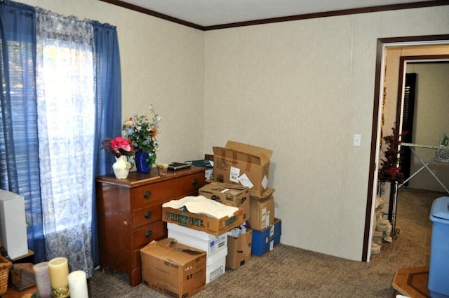 bedroom featuring carpet flooring and crown molding