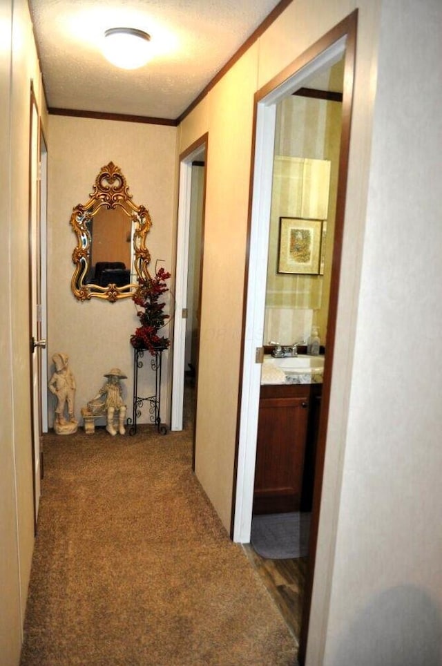 hall with sink, dark carpet, a textured ceiling, and ornamental molding