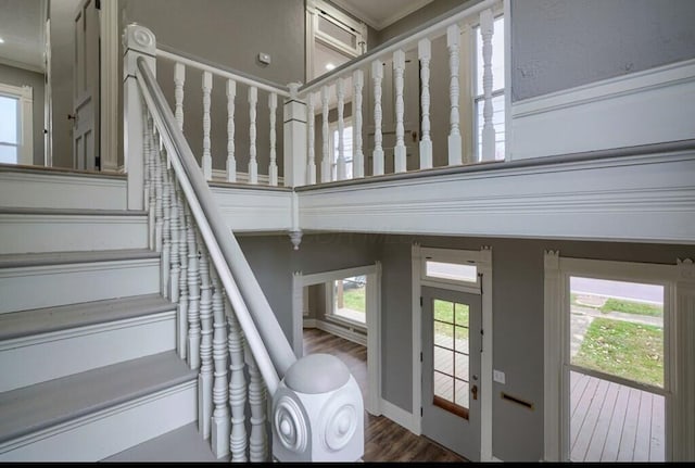 stairs with hardwood / wood-style flooring