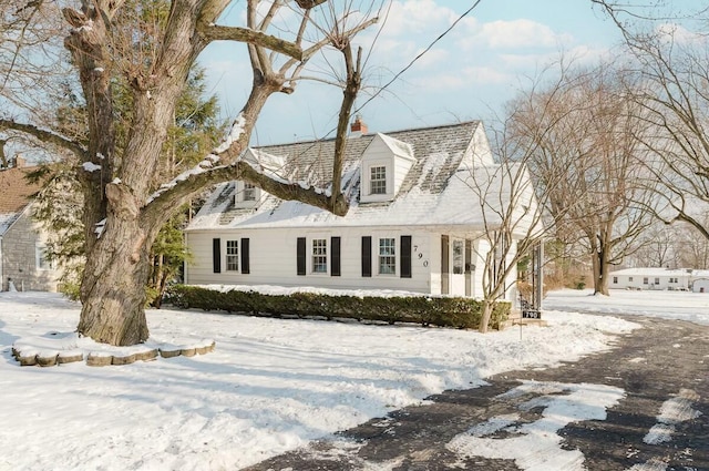 view of cape cod home