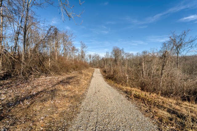 view of road