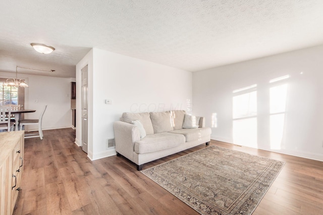 living room with wood-type flooring and a textured ceiling