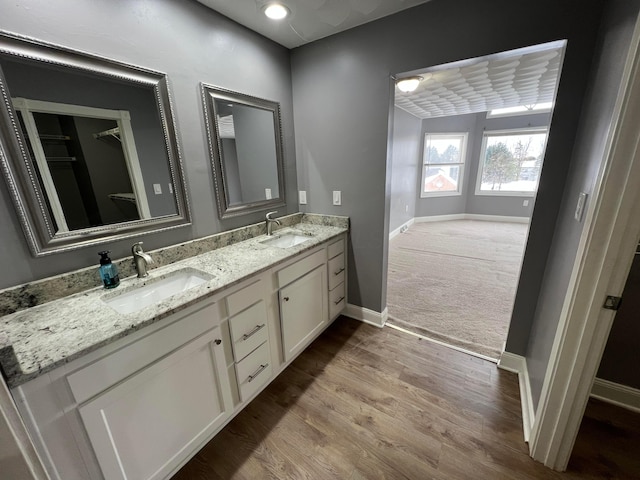 bathroom featuring hardwood / wood-style floors and vanity