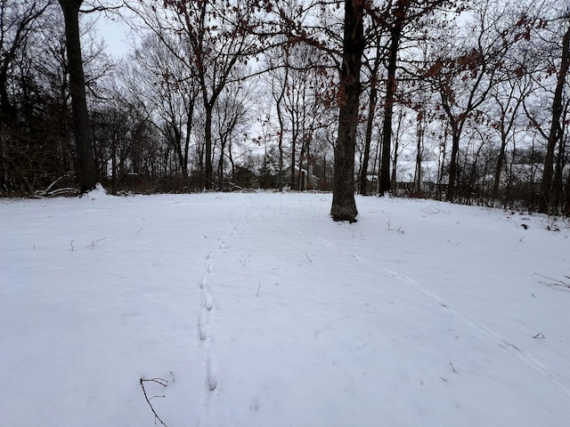 view of yard covered in snow