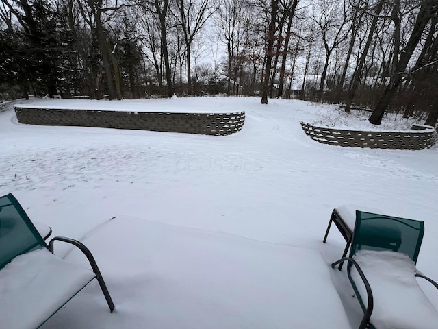 view of yard layered in snow