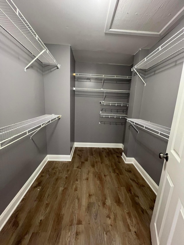 spacious closet with hardwood / wood-style floors