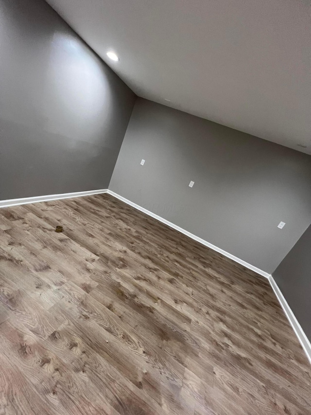 spare room featuring wood-type flooring