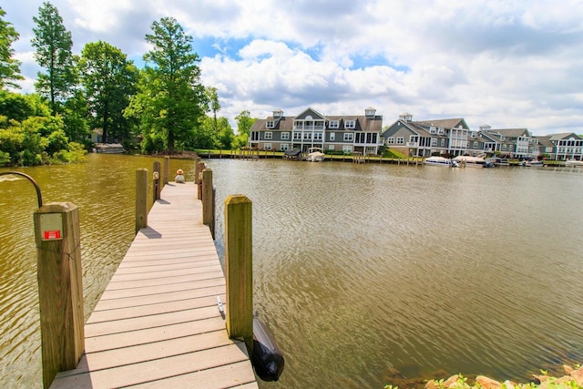 dock area with a water view