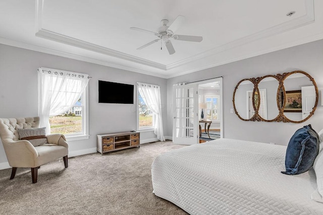 carpeted bedroom featuring ceiling fan, a raised ceiling, ornamental molding, and multiple windows