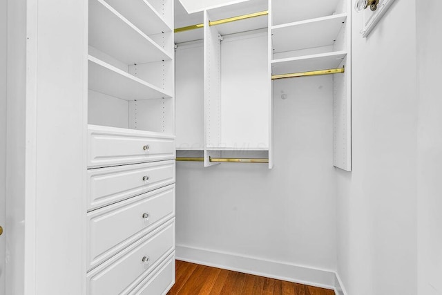 spacious closet with dark wood-type flooring