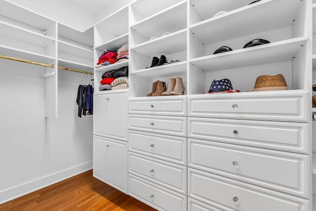 walk in closet featuring hardwood / wood-style flooring