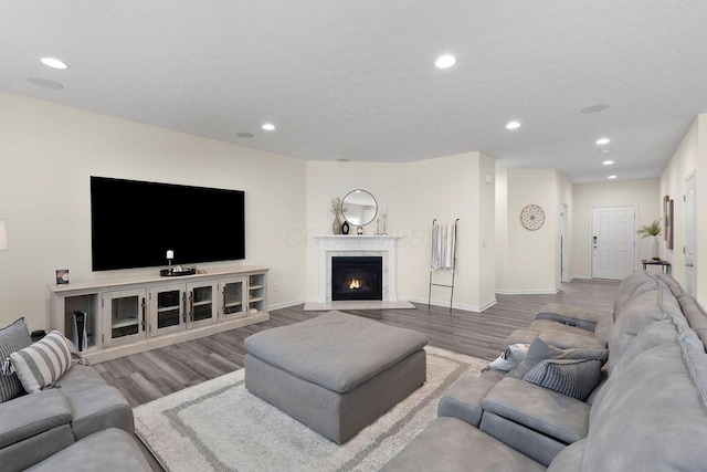 531 White Fawn Run, Delaware, OH 43015 - living room featuring wood finished floors, recessed lighting, baseboards, and a premium fireplace