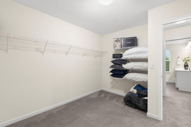 531 White Fawn Run, Delaware, OH 43015 - walk in closet featuring carpet floors and lofted ceiling